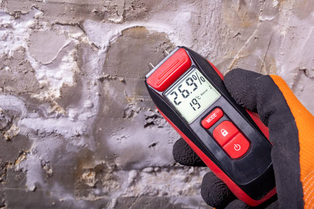 Best Bathroom Mold Remediation in Paramus, NJ